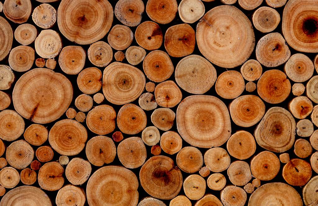 Odoo - Prueba 3 a tres columnas