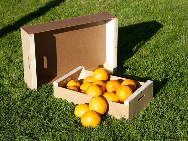 Odoo - Prueba 1 a tres columnas